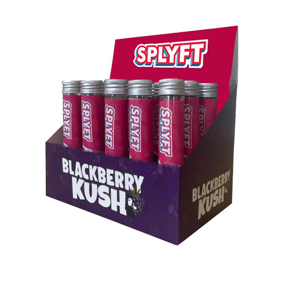 SPLYFT Cannabis Terpene Infused Rolling Cones – Blackberry Kush | SPLYFT | Hall of Vape |  | Smoking Products