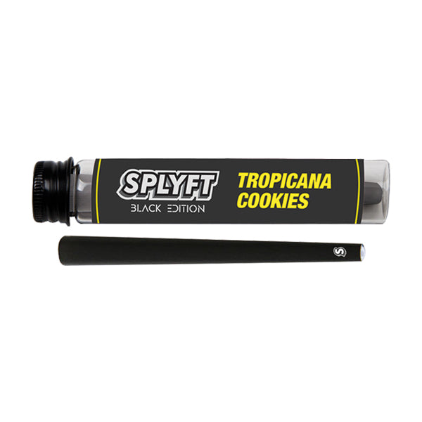 SPLYFT Black Edition Cannabis Terpene Infused Cones – Tropicana Cookies | SPLYFT | Hall of Vape |  | Smoking Products